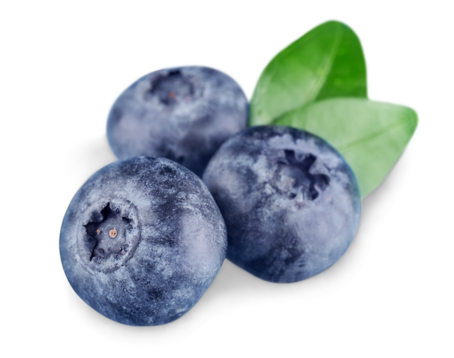 Blueberries Isolated  